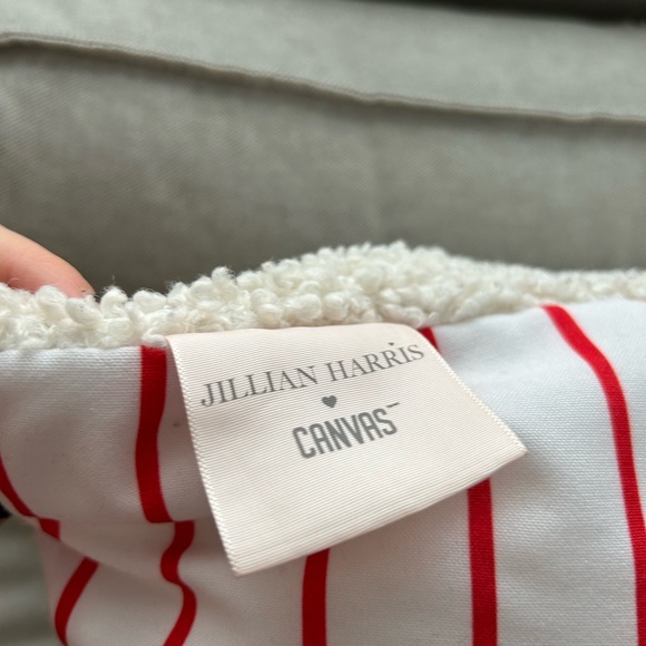 Jillian Harris Canvas Collection Sherpa Pom pillows - Picture 5 of 5